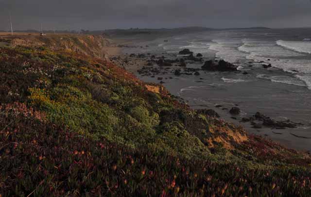 Arch Rock Beach